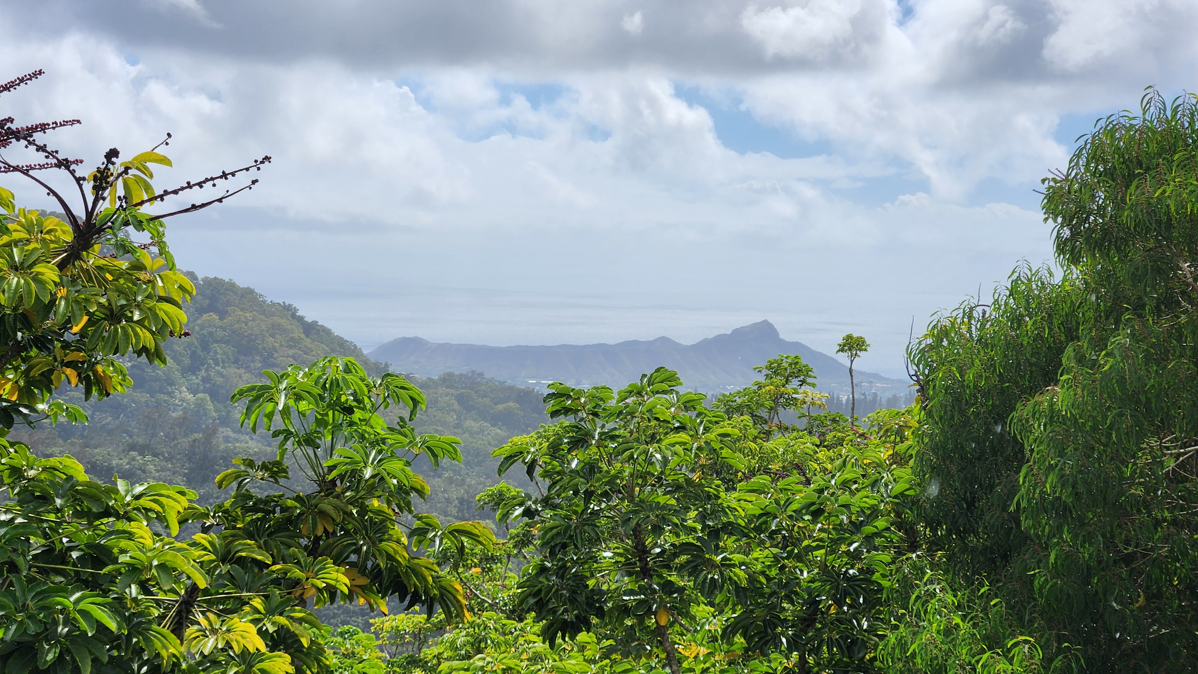 Maikaʻi Wai – Māla Lanakila