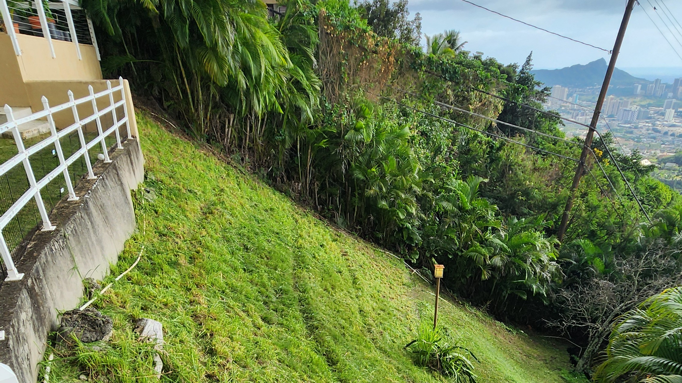 Vision - living homestead