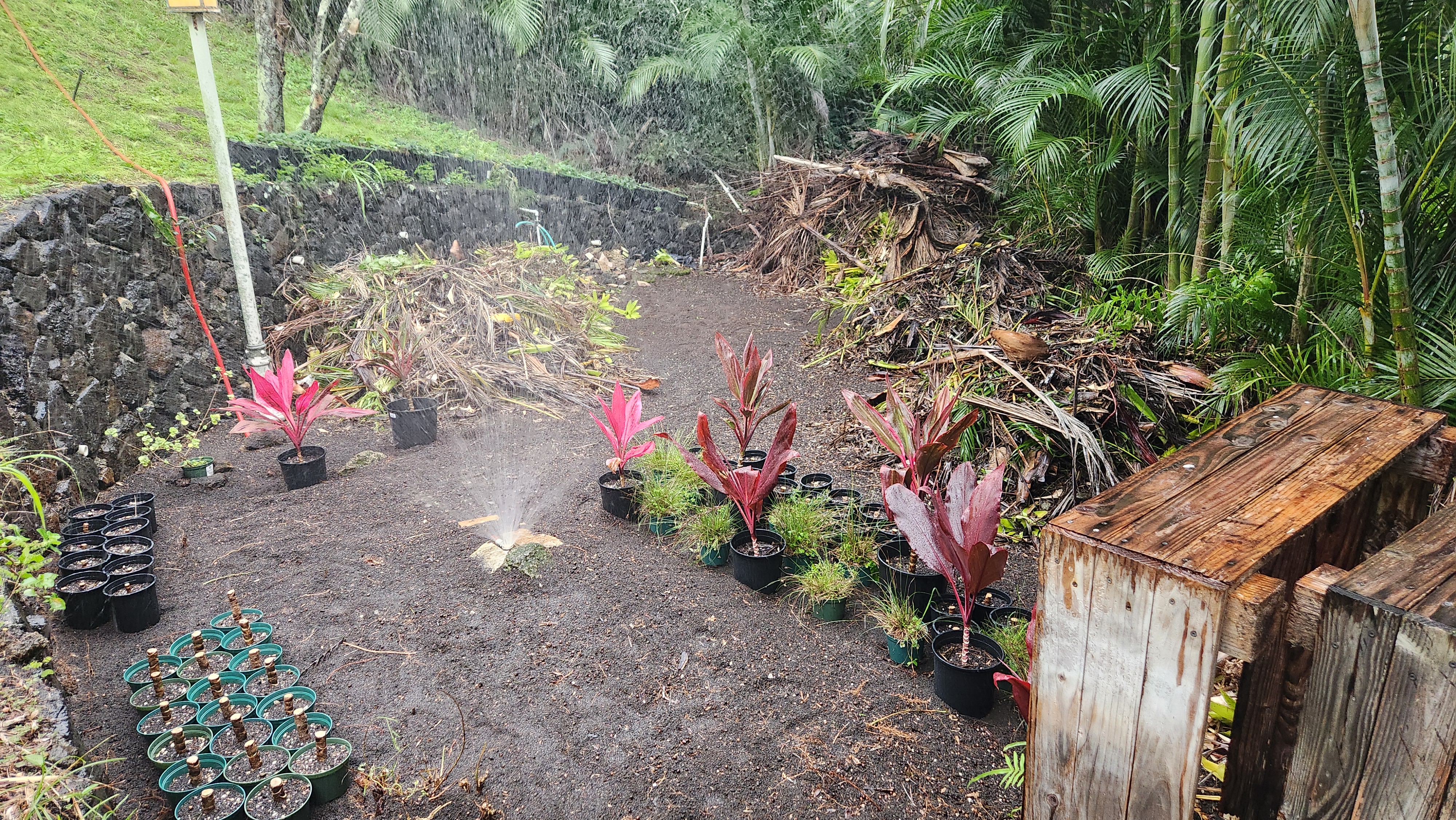 Mission - caring for the land